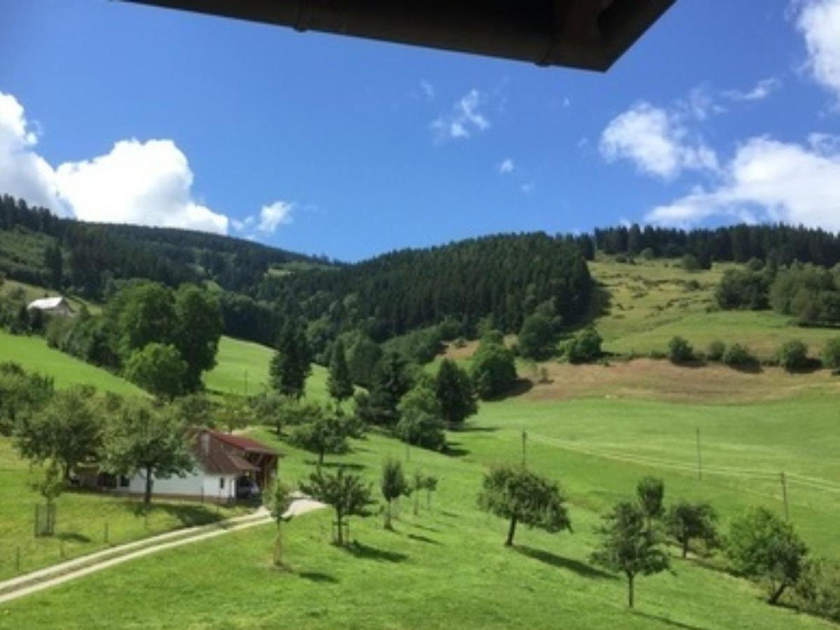 Ferienwohnungen Maierhof Oberried Oberried  Εξωτερικό φωτογραφία