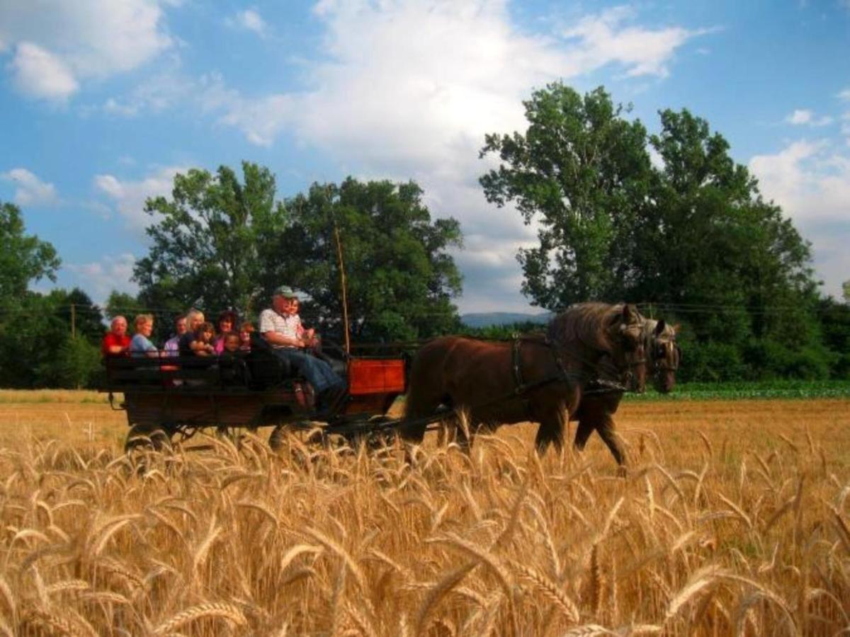 Ferienwohnungen Maierhof Oberried Oberried  Εξωτερικό φωτογραφία