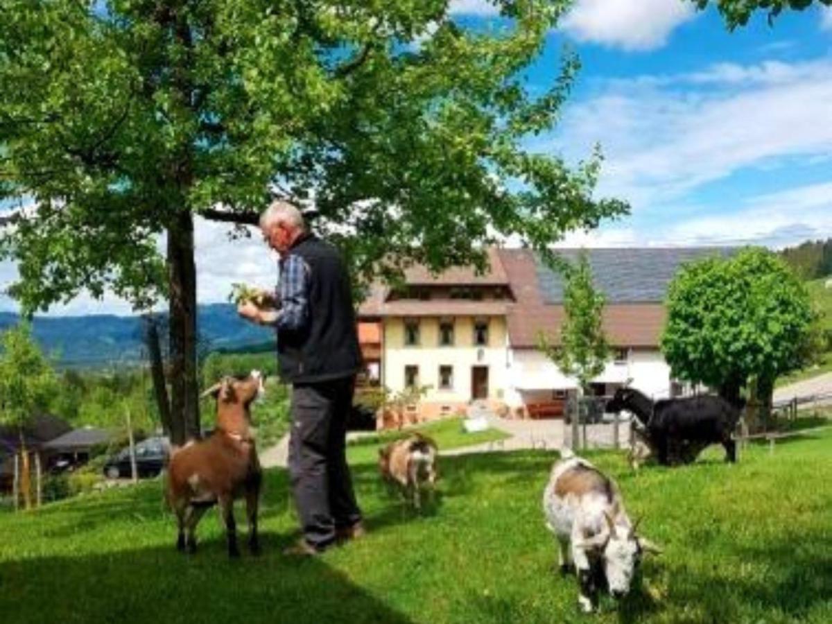 Ferienwohnungen Maierhof Oberried Oberried  Εξωτερικό φωτογραφία