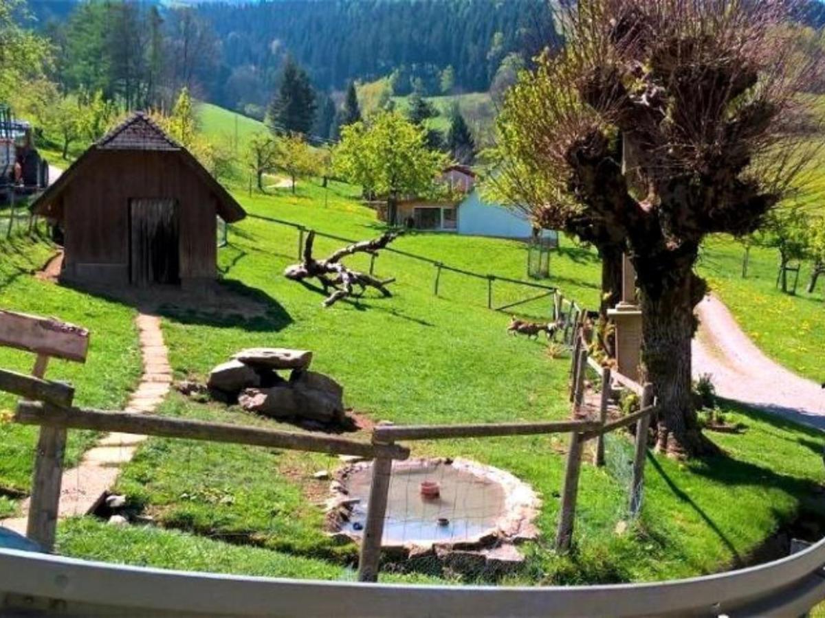 Ferienwohnungen Maierhof Oberried Oberried  Εξωτερικό φωτογραφία