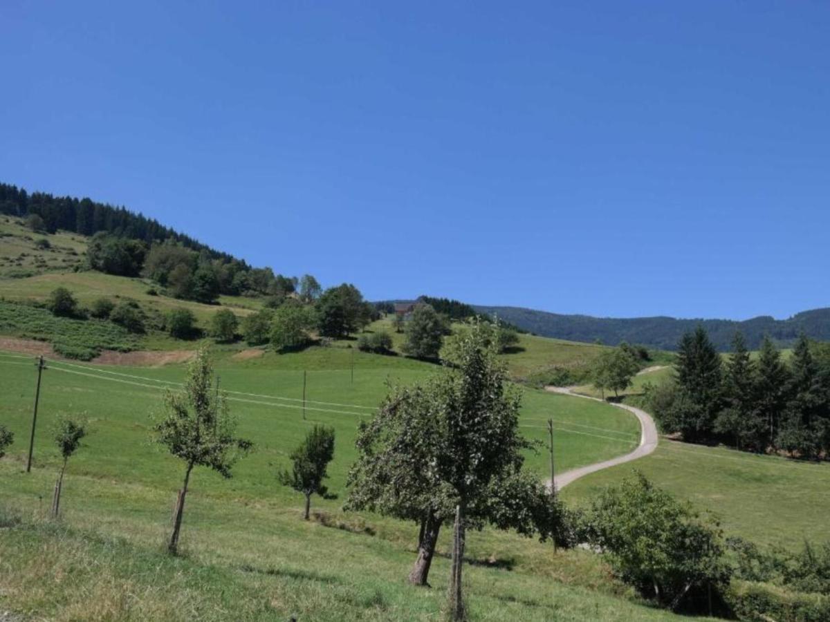 Ferienwohnungen Maierhof Oberried Oberried  Εξωτερικό φωτογραφία