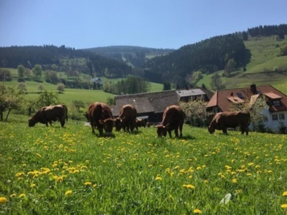Ferienwohnungen Maierhof Oberried Oberried  Εξωτερικό φωτογραφία