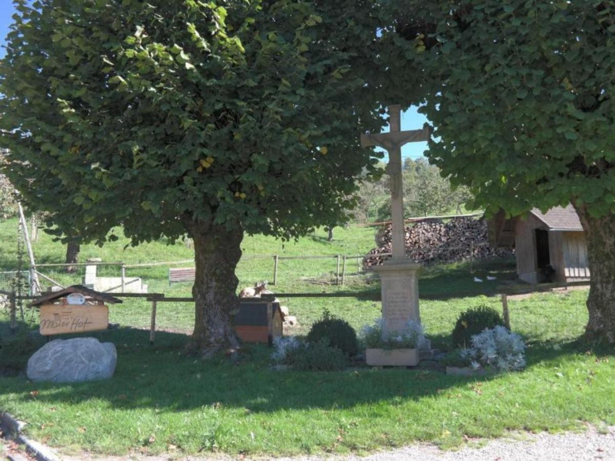 Ferienwohnungen Maierhof Oberried Oberried  Εξωτερικό φωτογραφία